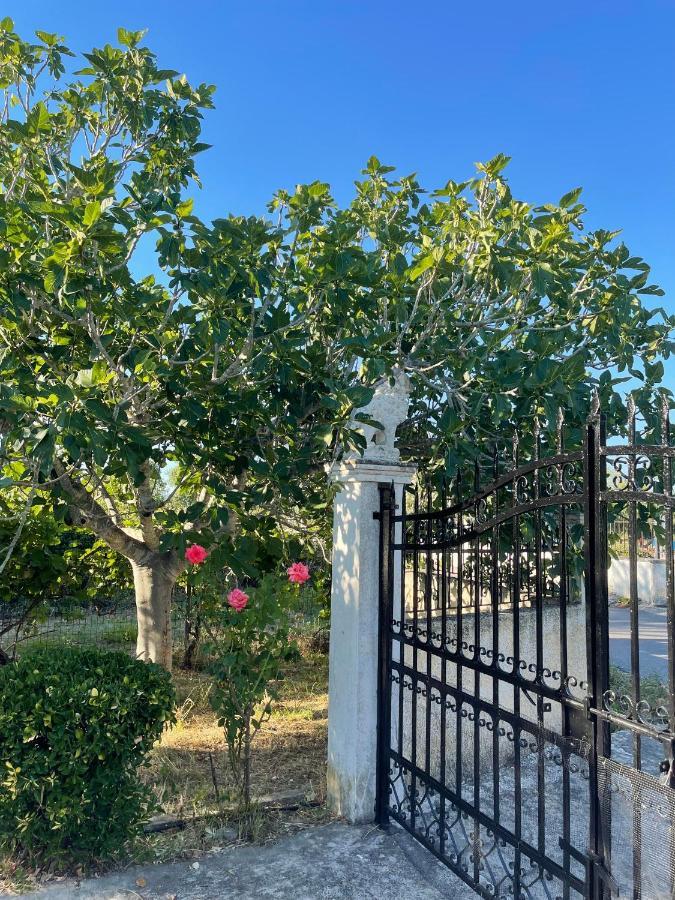Beautiful Nearby Beach House With Garden, Private Pool And Large Yard Сідарі Екстер'єр фото