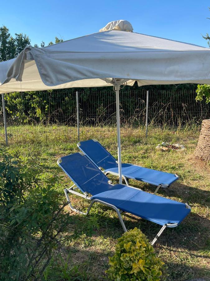 Beautiful Nearby Beach House With Garden, Private Pool And Large Yard Сідарі Екстер'єр фото